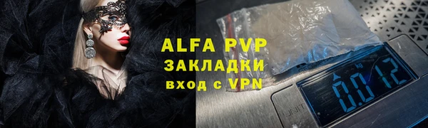 индика Абинск