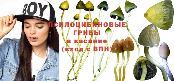 индика Абинск