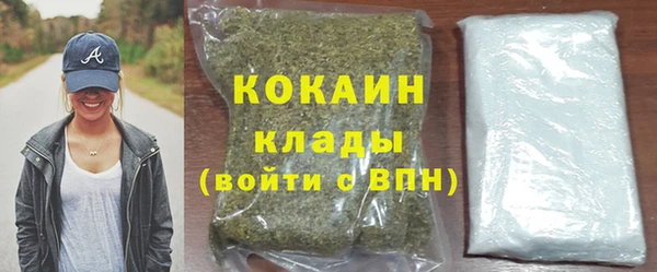 индика Абинск