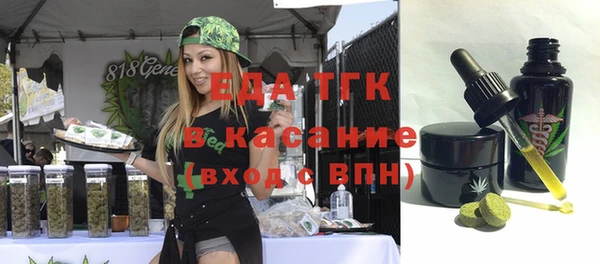 индика Абинск