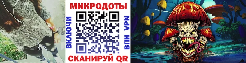 Псилоцибиновые грибы Psilocybe  Беломорск 